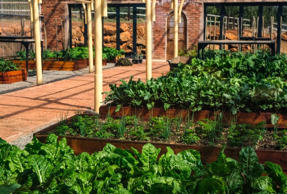 vegetable garden beds