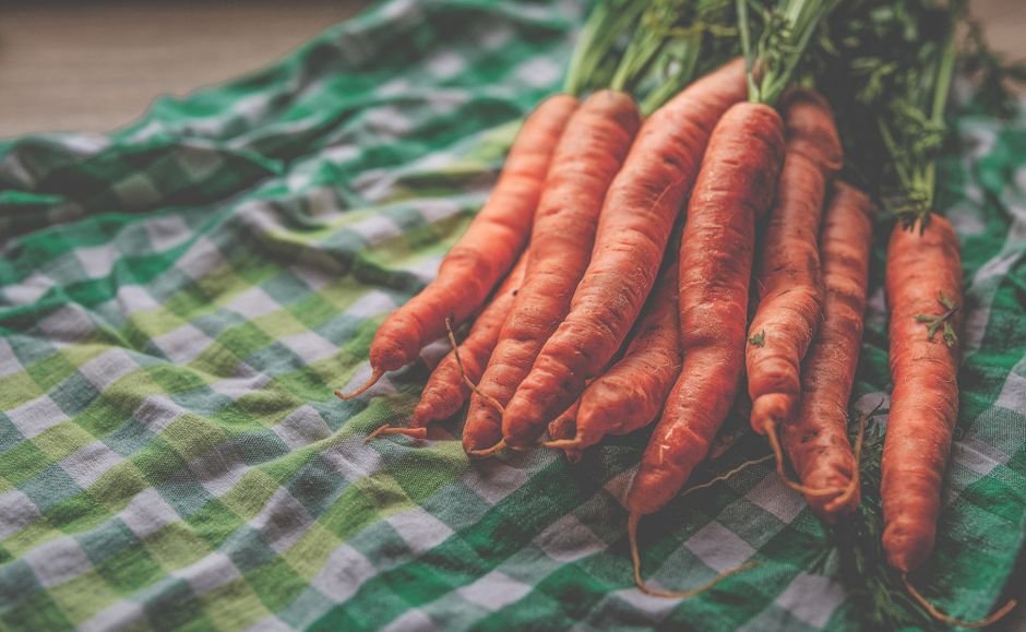 garden carrots bunch