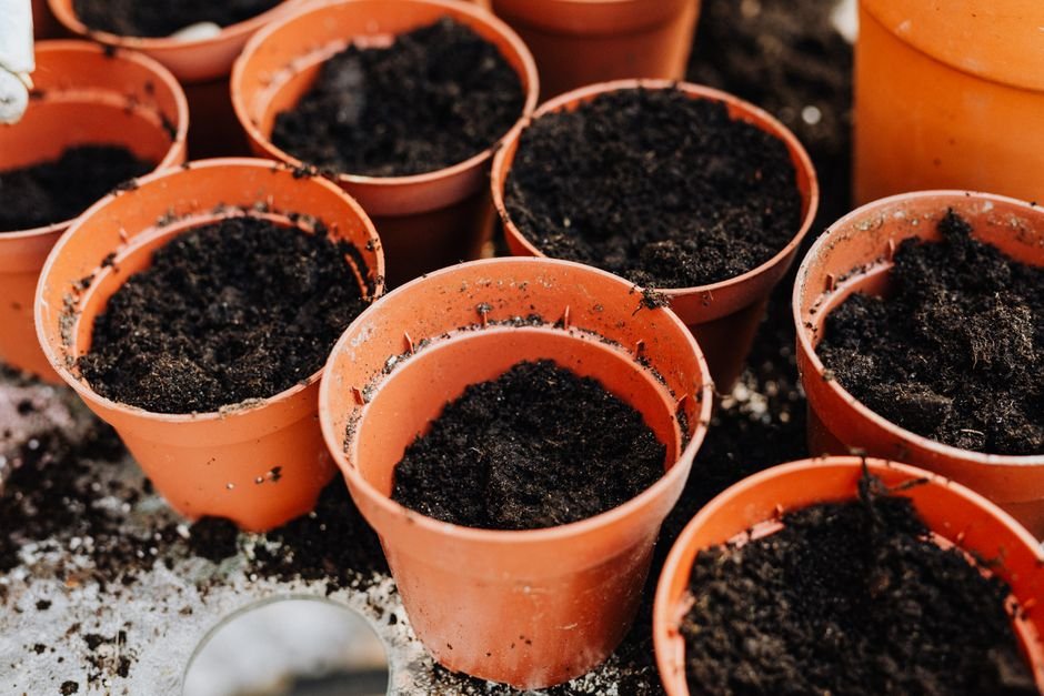 nursery seedling pots