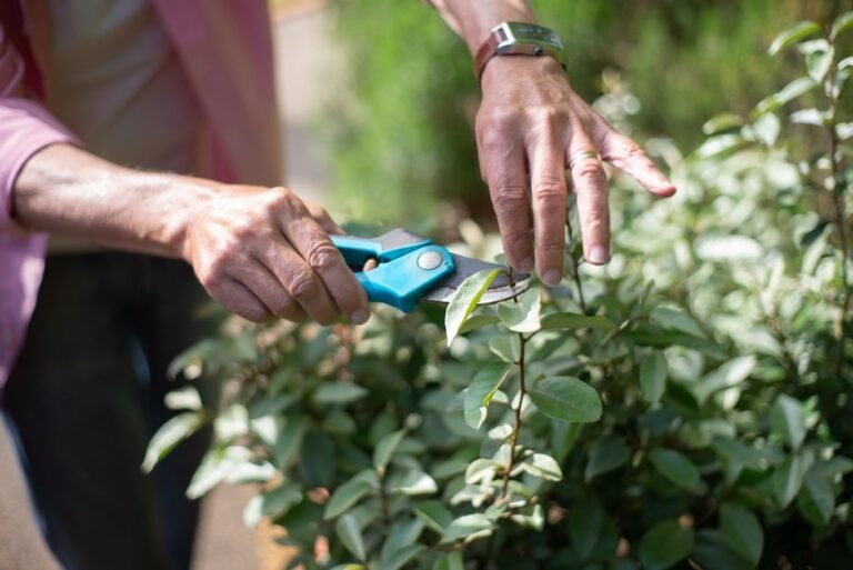 How I Cut Herbs So They Keep Coming Back