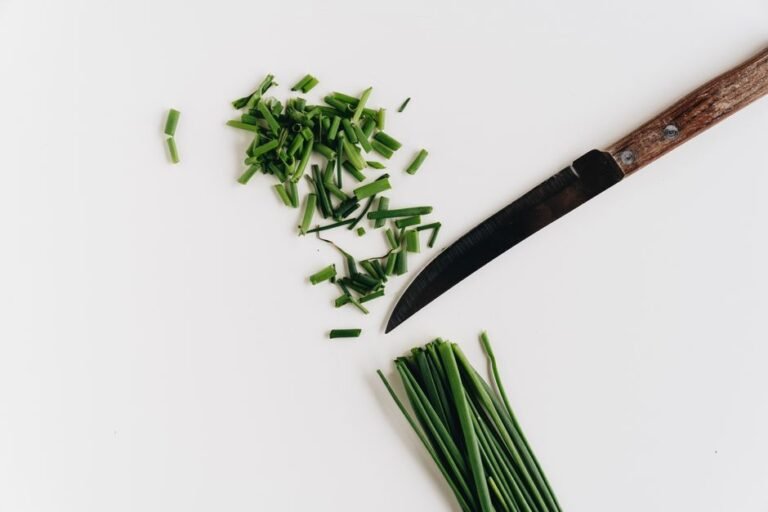 What To Do When You Have Far Too Much Basil