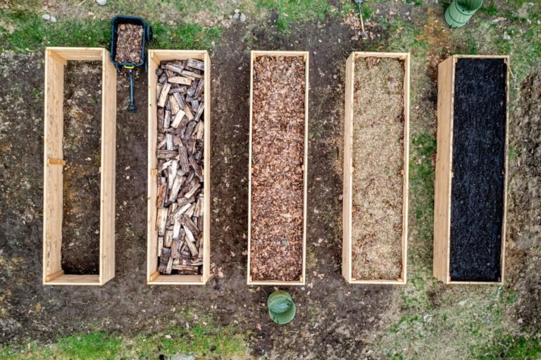 Rotating Crops When You Only Have Four Beds